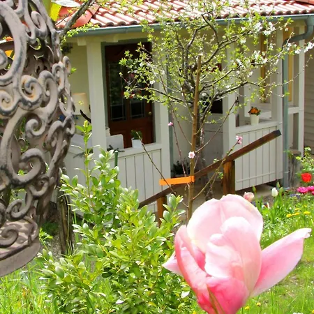 Appartement Charming Dachsbach